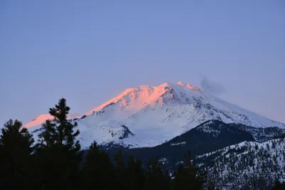 DSC_5973 (Large).JPG